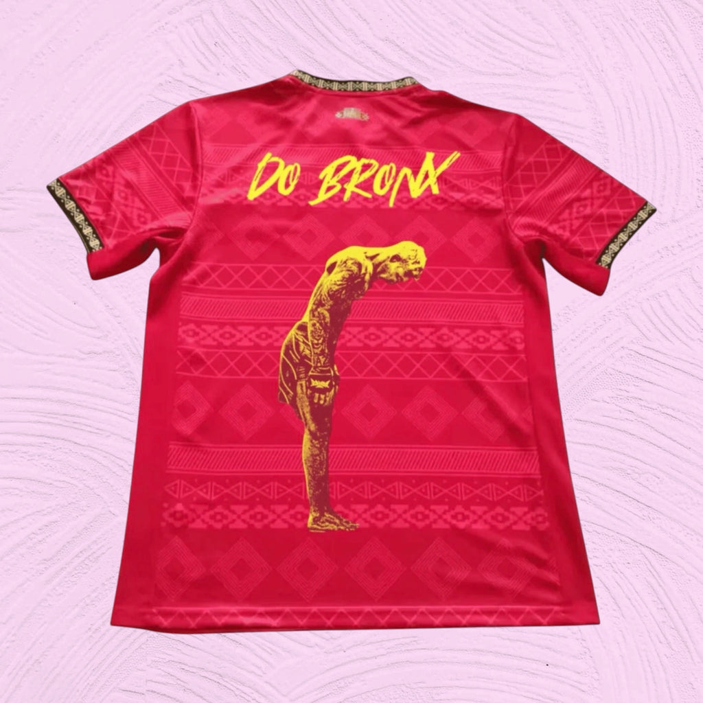 Camiseta Brasil x Charles Oliveira