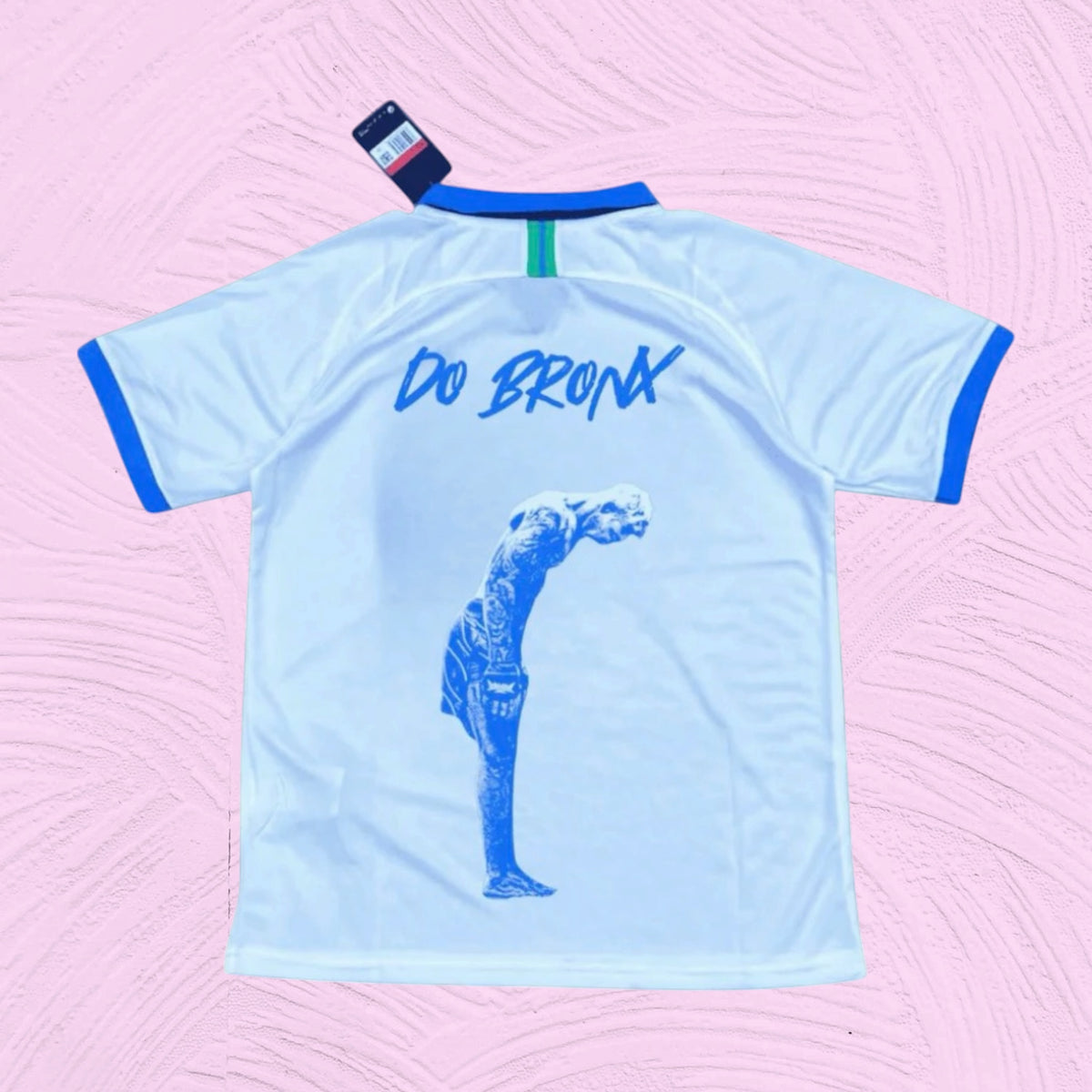 Camiseta Brasil x Charles Oliveira